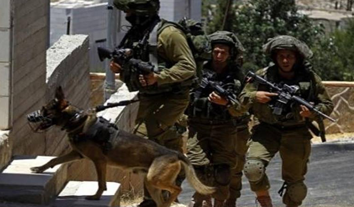 Israeli Forces Storm Rummanah Village
